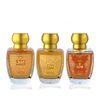 AMBER OUDY Eau De Parfum Combo for Unisex, Pack of 3 (100ml each)